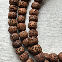 108 Meditation Mala - Holy Sanded Rudraksha Beads